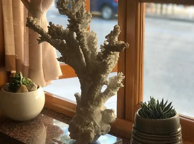 Hotel Corallo Lignano Sabbiadoro